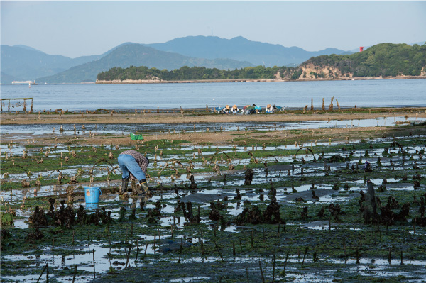 佐久間海産